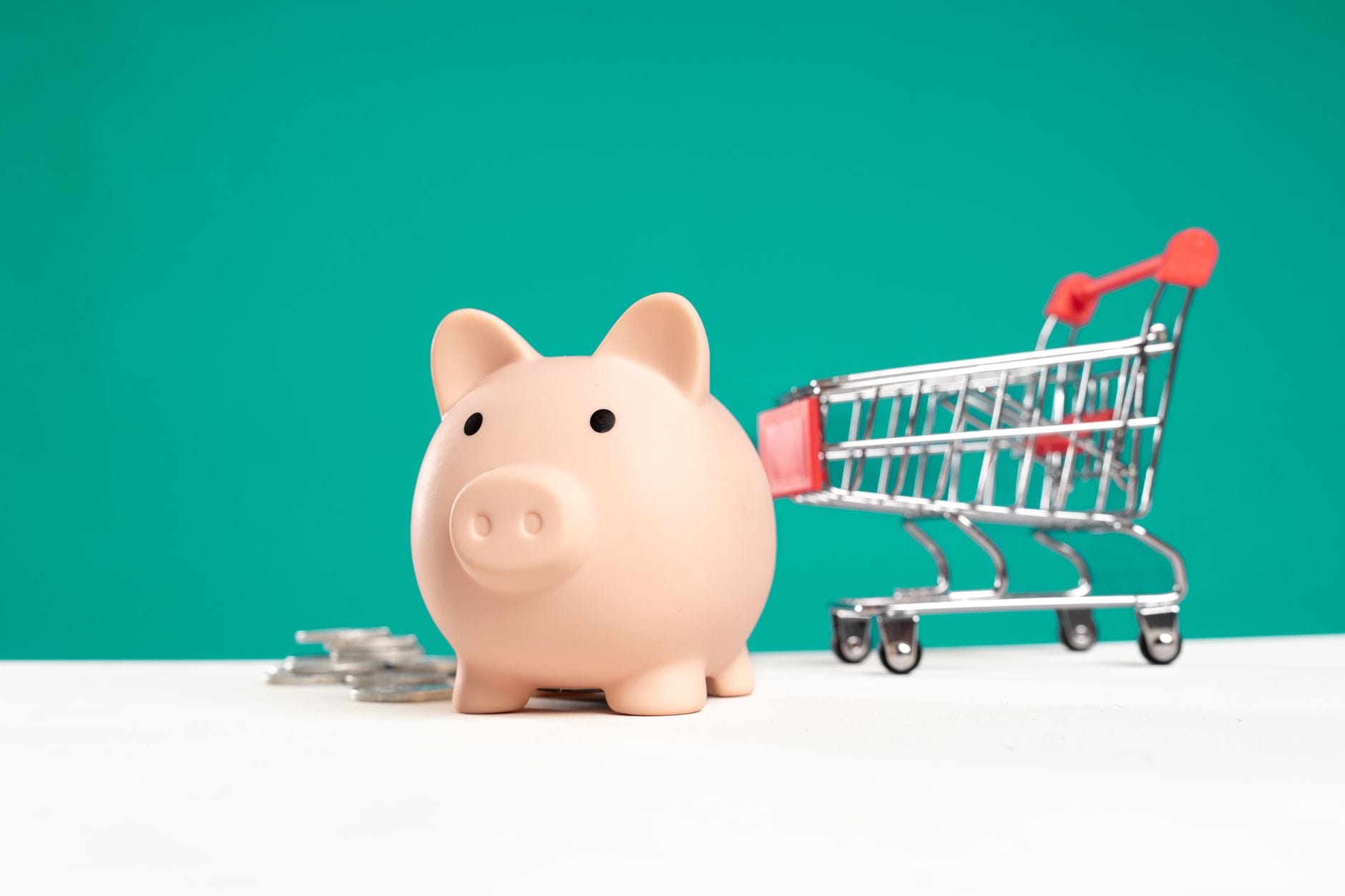 WooCommerce plugins that replace costly SaaS subscriptions