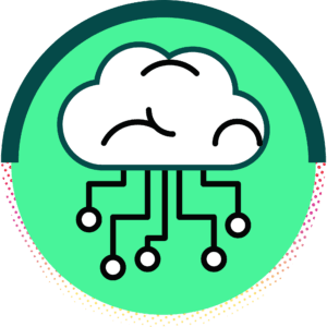 backup flow