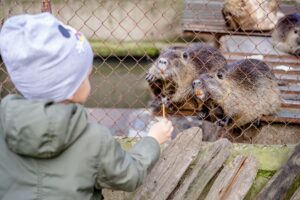 PageForge vs Beaver Builder comparison for bulk landing pages